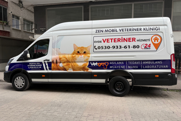 veteriner arac giydirme
